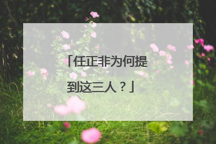 任正非为何提到这三人？
